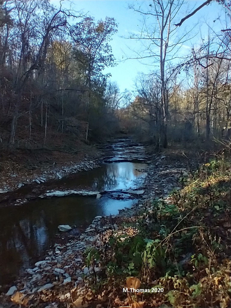 “Sleepless” by Myrtle&nbsp;Thomas