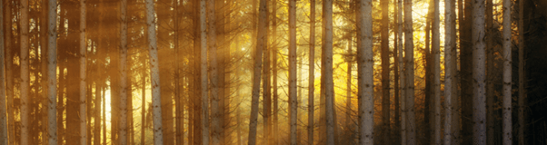 Your light matters by Susana&nbsp;Cabaço