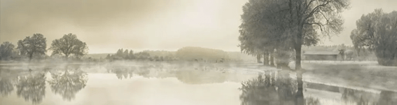 The ethereal panacea by Susana&nbsp;Cabaço