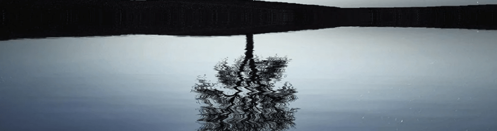 Distraction-less by Susana&nbsp;Cabaço