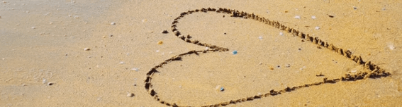 Universal magnet by Susana&nbsp;Cabaço