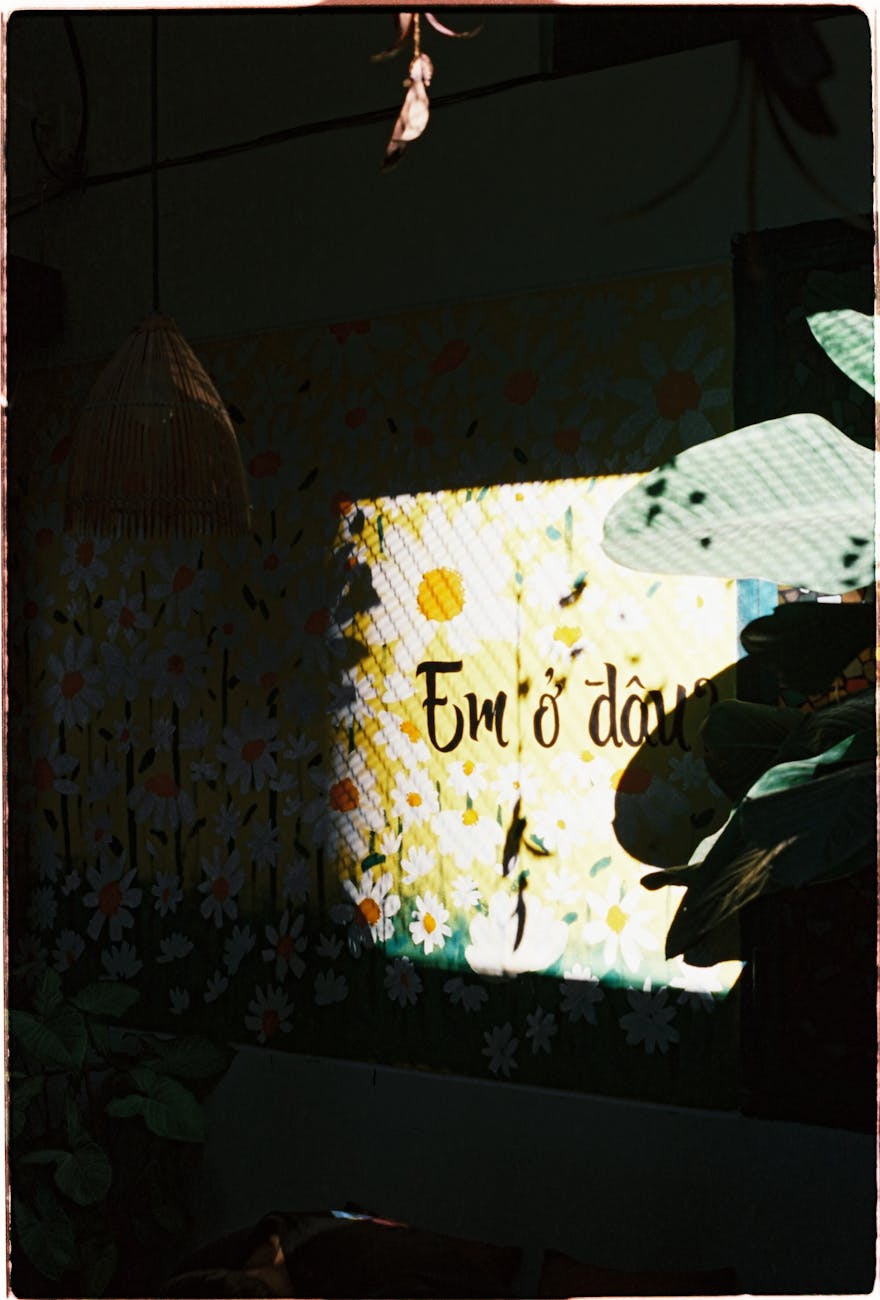 The Bee Box   by Gerald&nbsp;Yelle