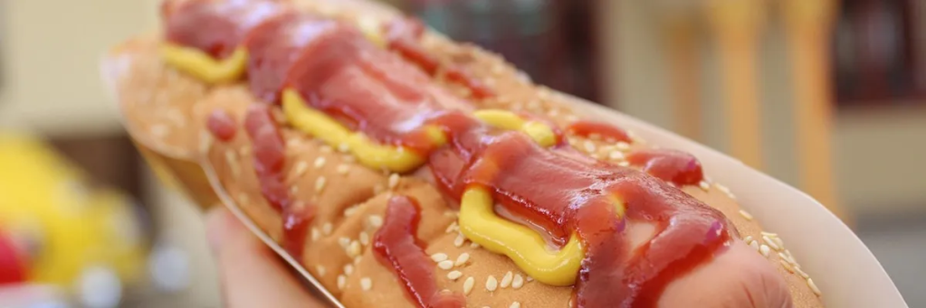 The food long hot dog and the end of days By Rae Cod