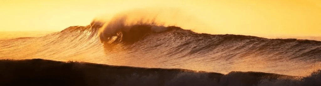 Eternal and divine by Susana Cabaço