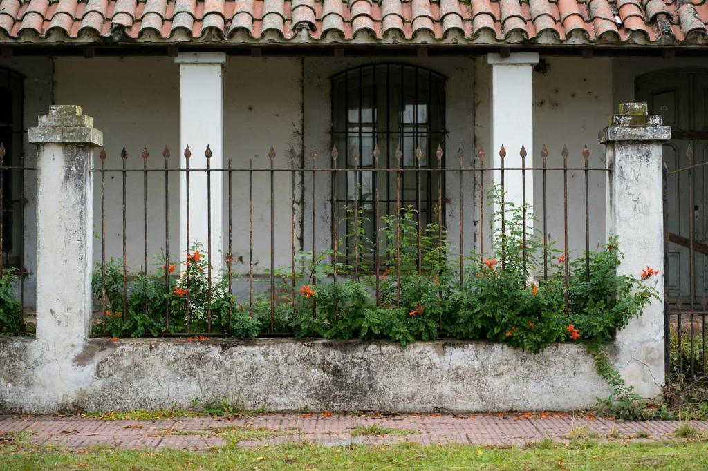 NEIGHBORS by Jeffrey&nbsp;Zable