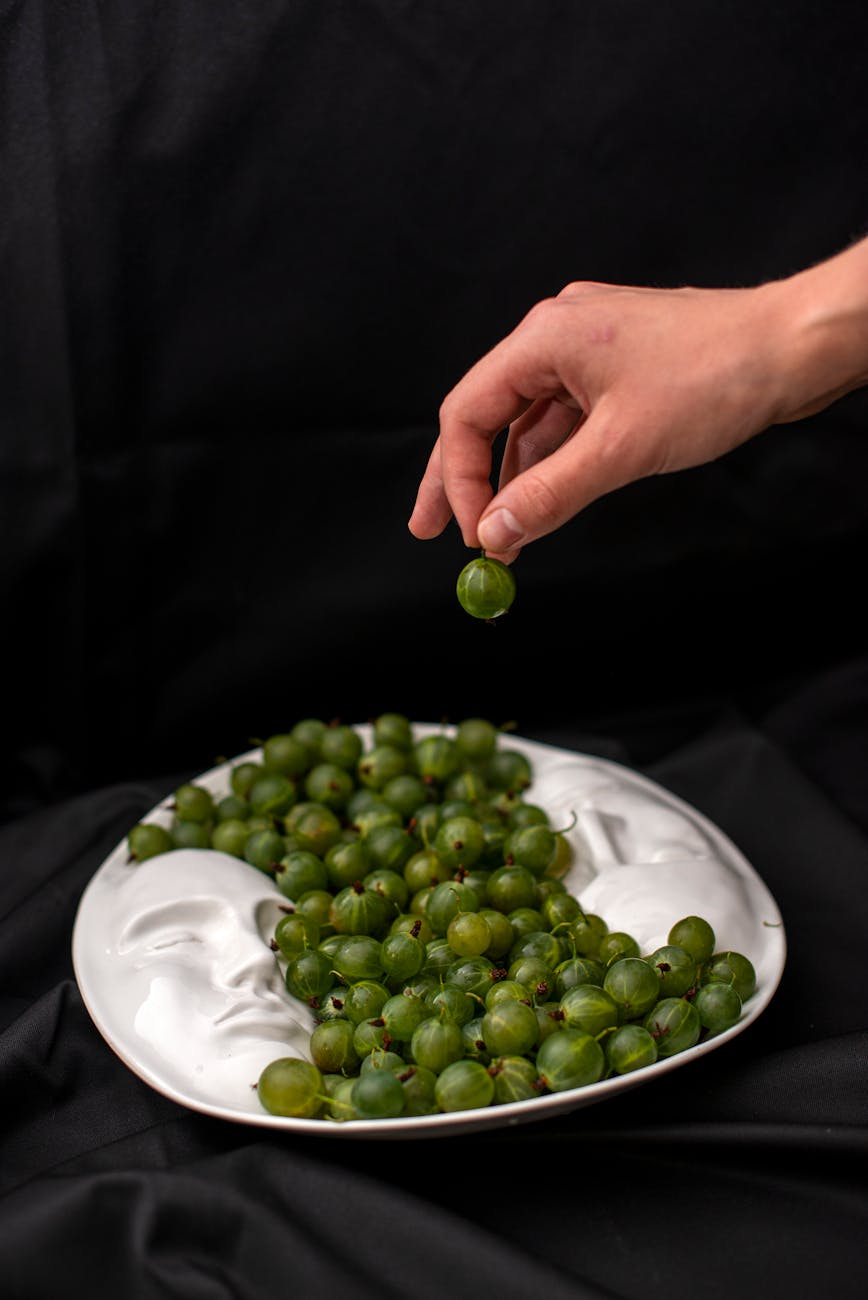 No Place Like Nome by Gerald&nbsp;Yelle