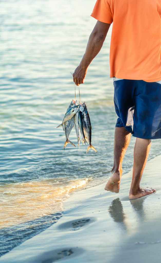 South Hampshire by Christina&nbsp;Chin