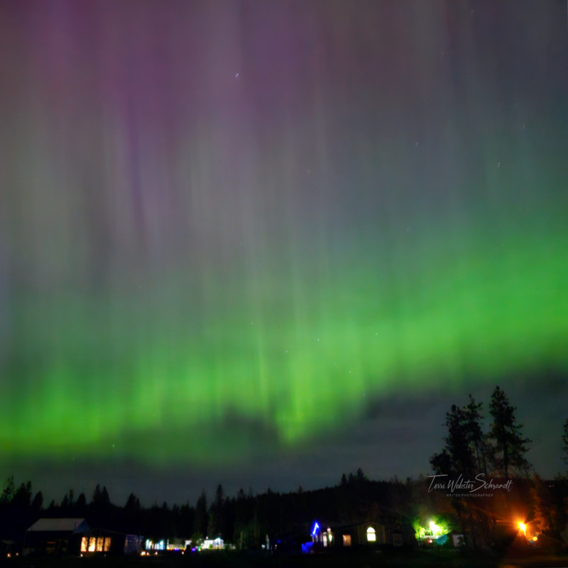 Photograph of the Aurora/Northern Lights in colours of green, purple, blue, and grey