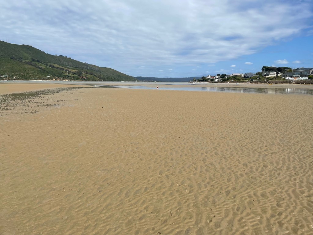 A picture of the beach at the Knysna lagoon. It is a large expanse of yellowish brown sand and very shallow water. 
