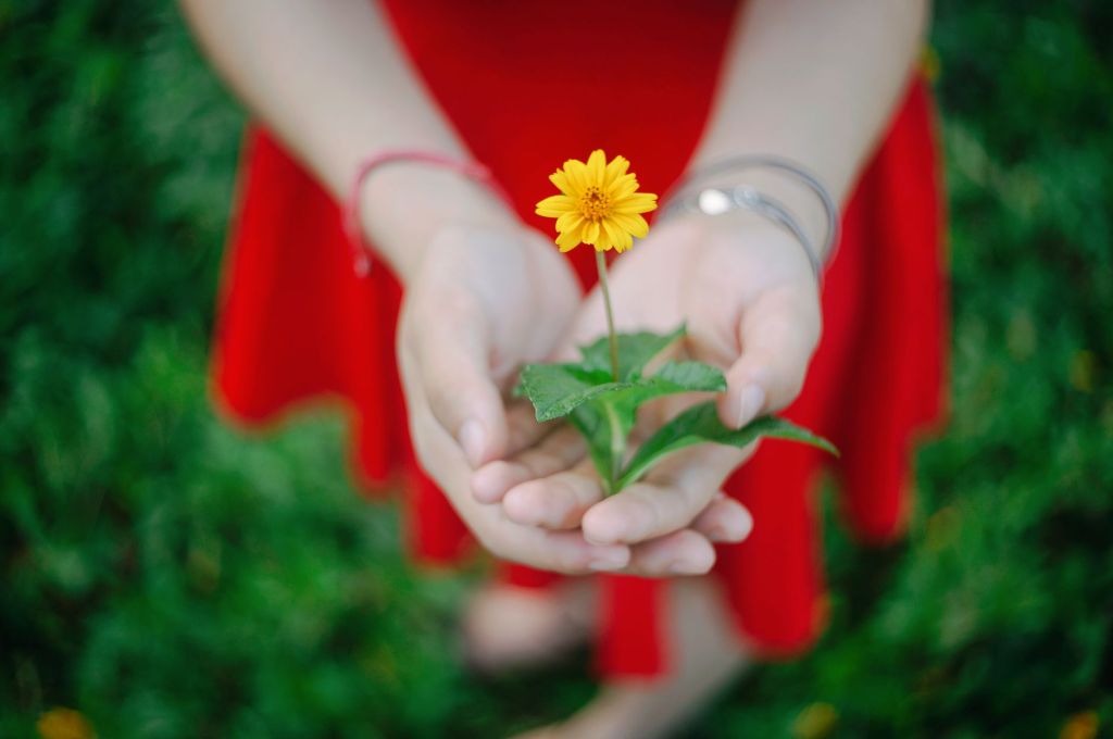 Hold on to that Dream by Dawn Pisturino          