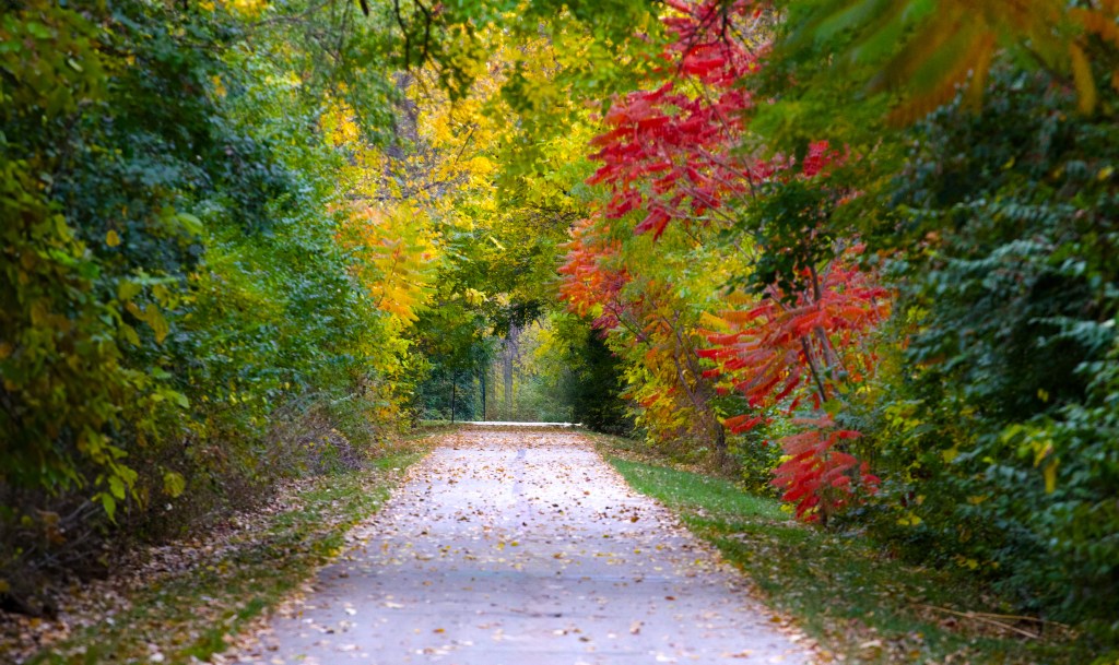 A walk in autumn