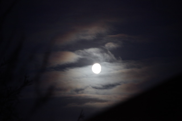 Moon picture for Ellie