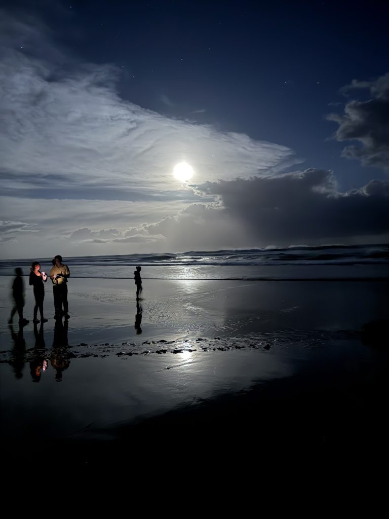 People on the beach at night during a full moon.
